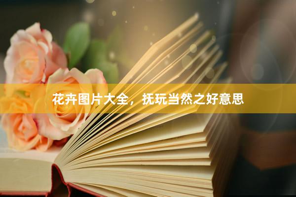 花卉图片大全，抚玩当然之好意思